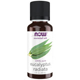 Eukalyptus radiata Öl | 100% reines Eukalyptus radiata - 30 ml