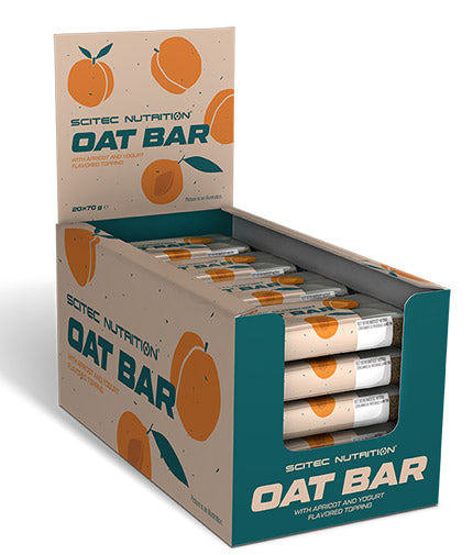 Haferbalkenbox / 20 x 70 g