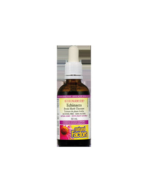 Echinacea Fresh Herb Tincture 1000 mg - 50 ml - Nutra Best Europe