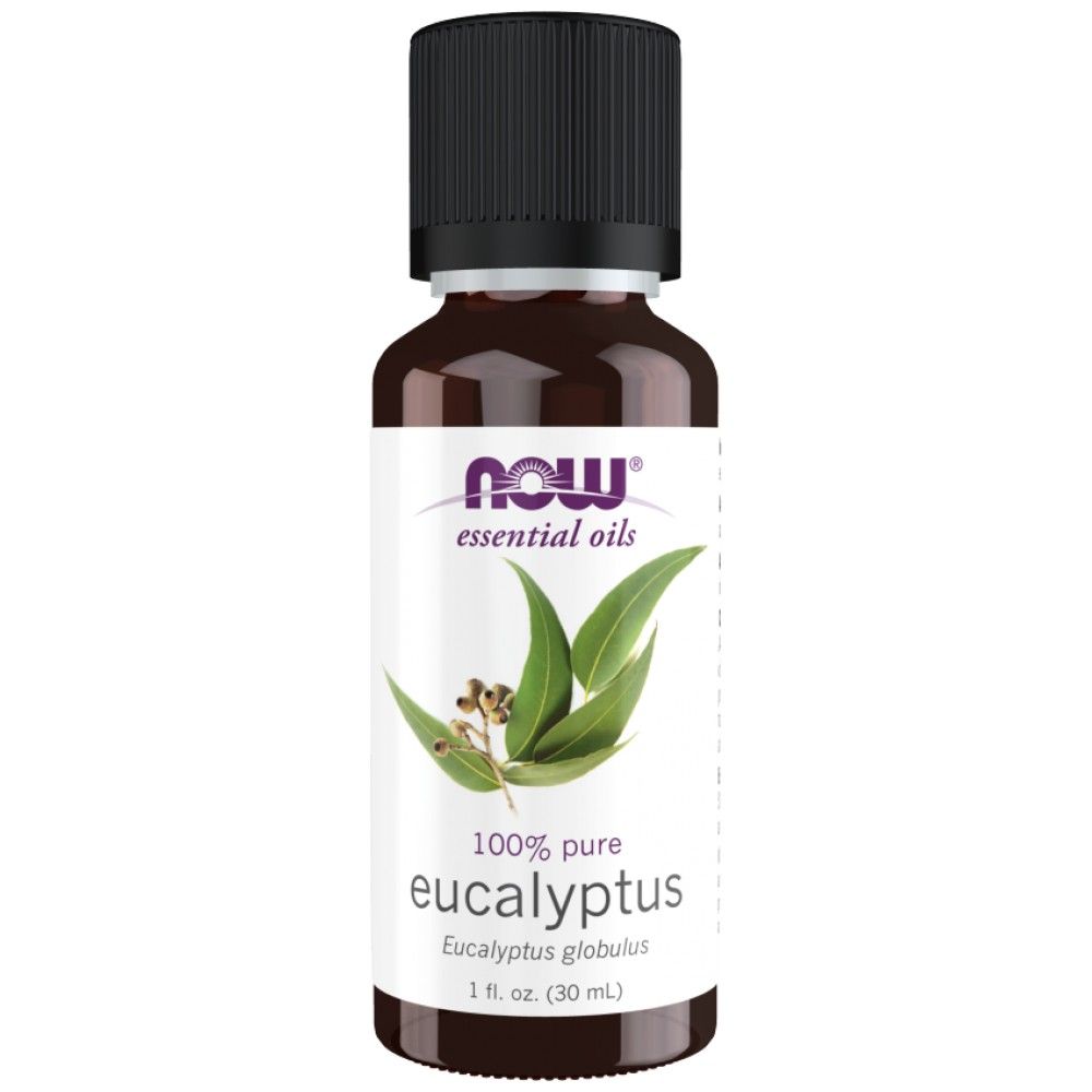 Eukalyptusöl | 100% reine Eukalyptus globulus - 30 ml