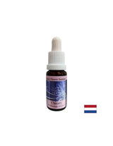 Um sich auf sich selbst zu konzentrieren – Chicorée-Essenz Nr. 8, Tropfen 15 ml