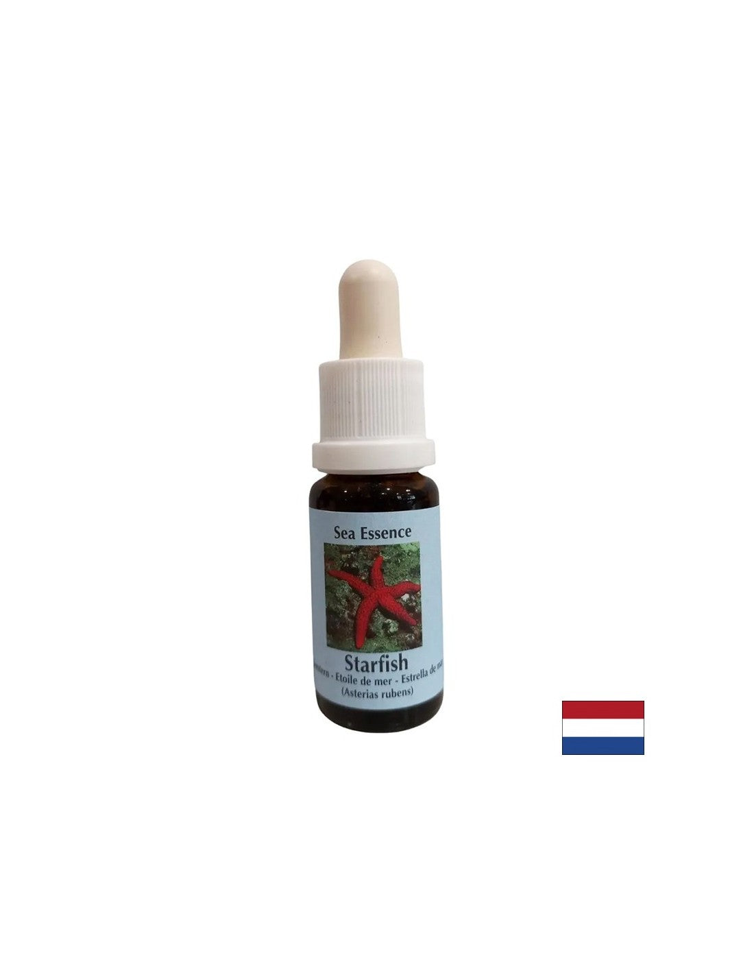 Verbessert die Kommunikation – Starfish Essence Nr. 9, Tropfen 15 ml