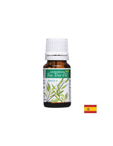 Ätherisches Bio-Teebaumöl – antiseptische und antimykotische Wirkung – Aceite Esencial Eco Tea Tree Oil, 10 ml