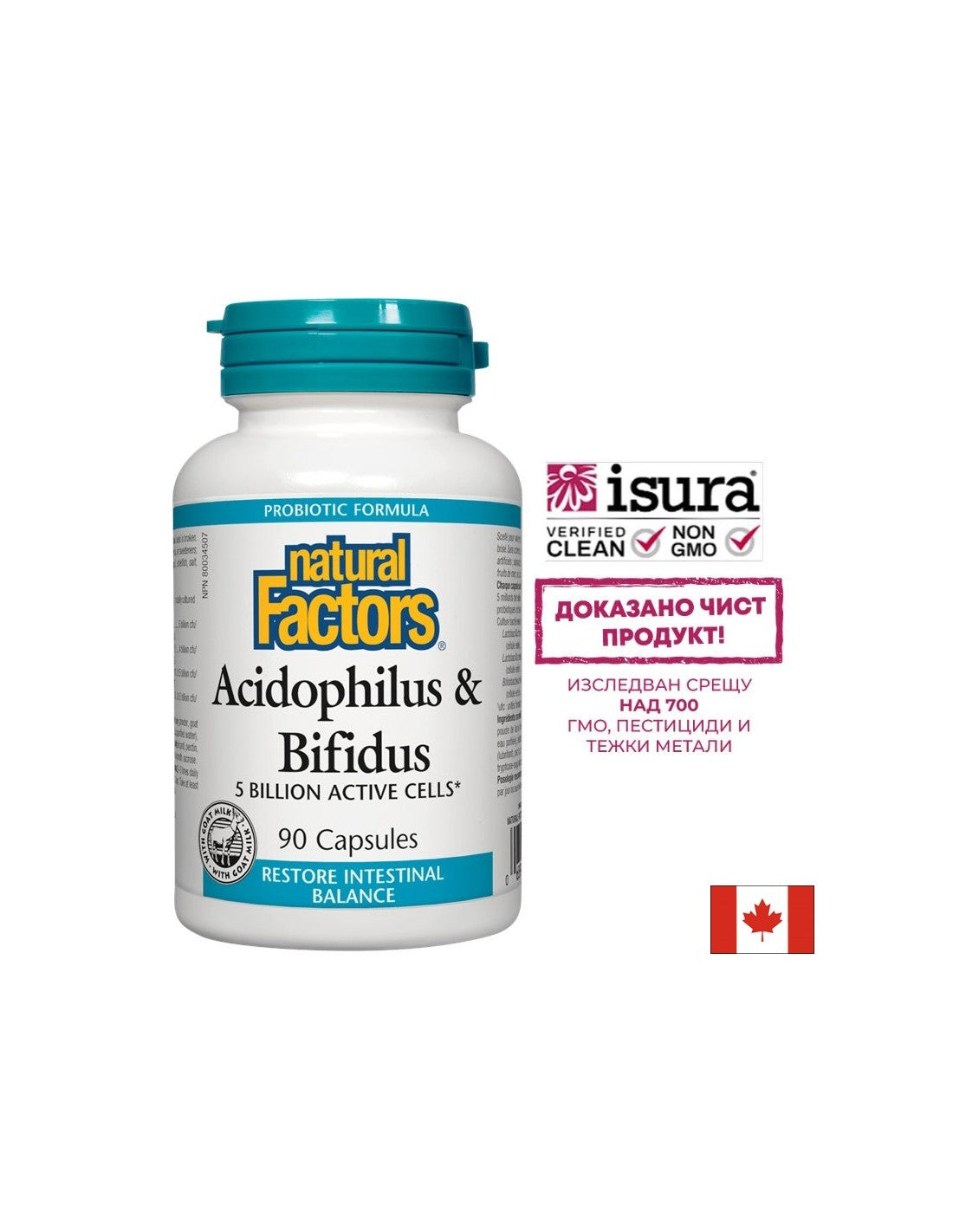 Acidophilus & Bifidus | 5 Milliarden aktive Zellen – 90 Kapseln