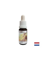 Hilft, die Bedeutung von Geld zu verstehen – Angel Essence Nr. 1, Tropfen 15 ml