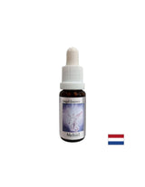 Um die richtigen Worte zu finden – Essence Mechiel (Angel Essence No. 16), Tropfen 15 ml