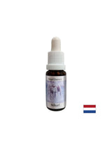Gibt Kraft, Schwierigkeiten zu überwinden – Michael Essence (Angel Essence Nr. 17), Tropfen 15 ml