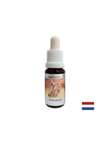 Bei Beziehungsproblemen - Damabia Essence (Angel Essence No. 5), Tropfen 15 ml