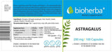 Astragalus 290 mg – 100 Kapseln