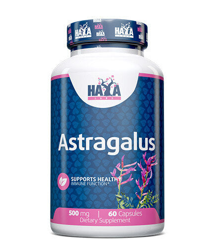 Astragalus 500 mg./60 Kapseln.