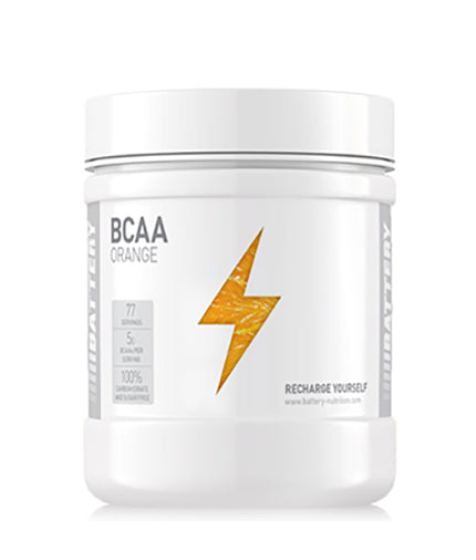 BCAA – 0,500 kg
