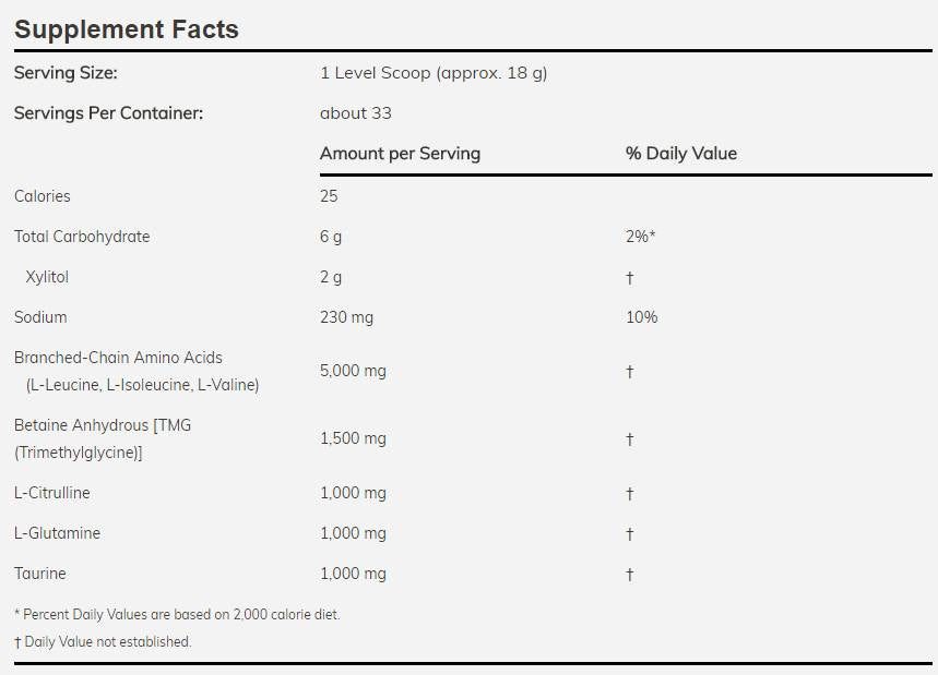 BCAA Big 6 Pulver – 600 Gramm