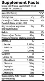 BCAA + EAA | mit Elektrolyten und Kokoswasser – 357–378 Gramm