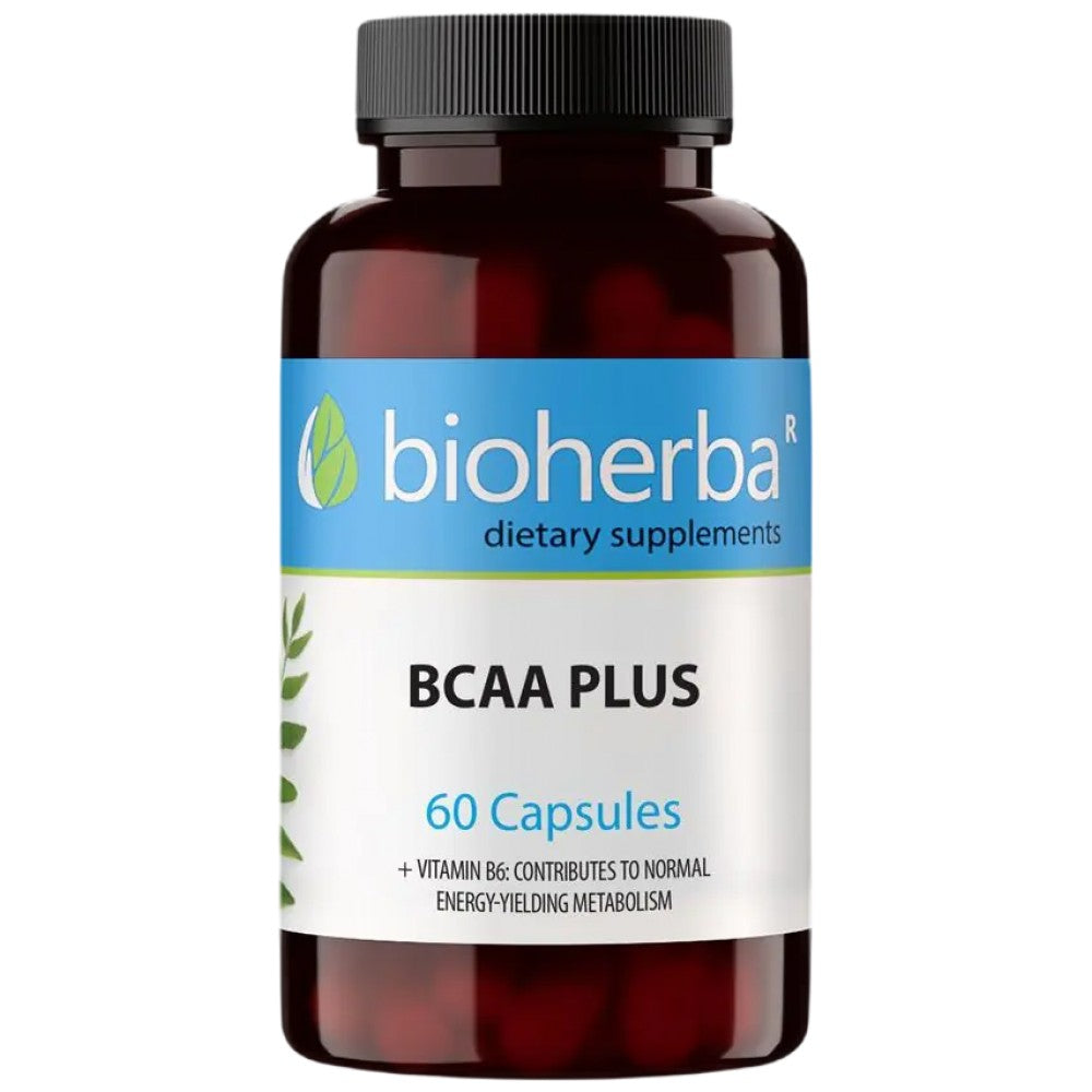 BCAA Plus – 60 Kapseln