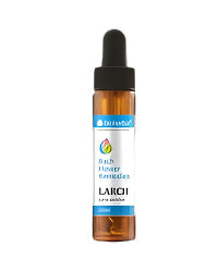 Bachtropfen LÄRCHE 20 ml