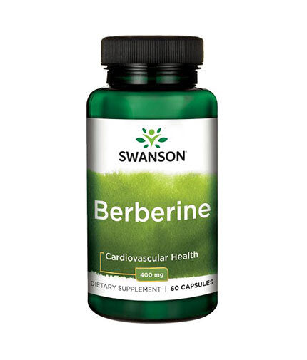 Berberin 400 mg – 60 Kapseln