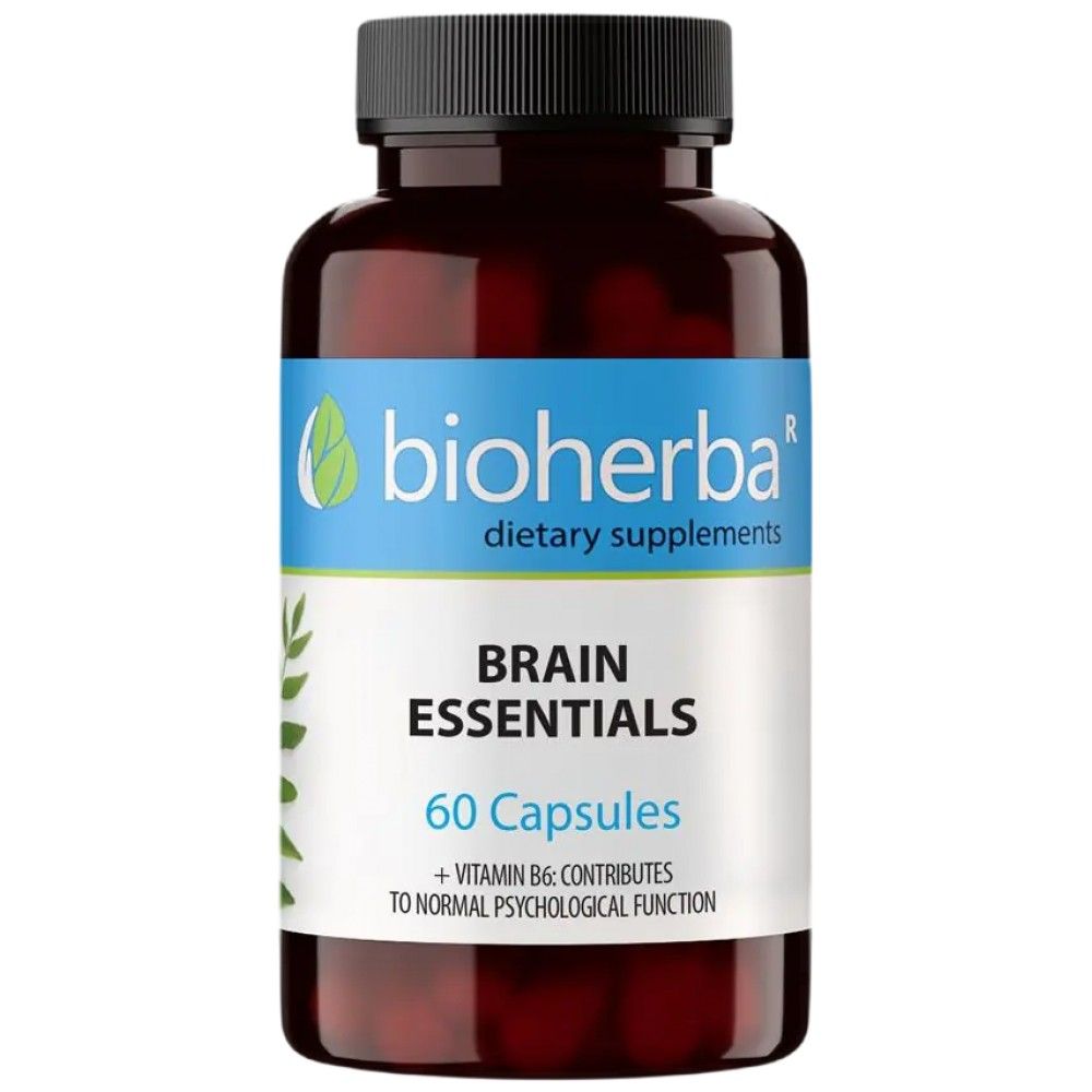 Brain Elevate – 60 Kapseln