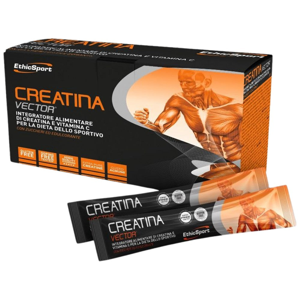 CREATINA-VEKTOR | Kreatin und Aminosäuren – 20 x 8 Gramm