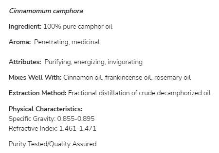 Kampferöl | 100 % reines Cinnamomum Camphora – 30 ml