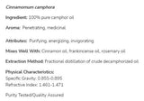 Kampferöl | 100 % reines Cinnamomum Camphora – 30 ml