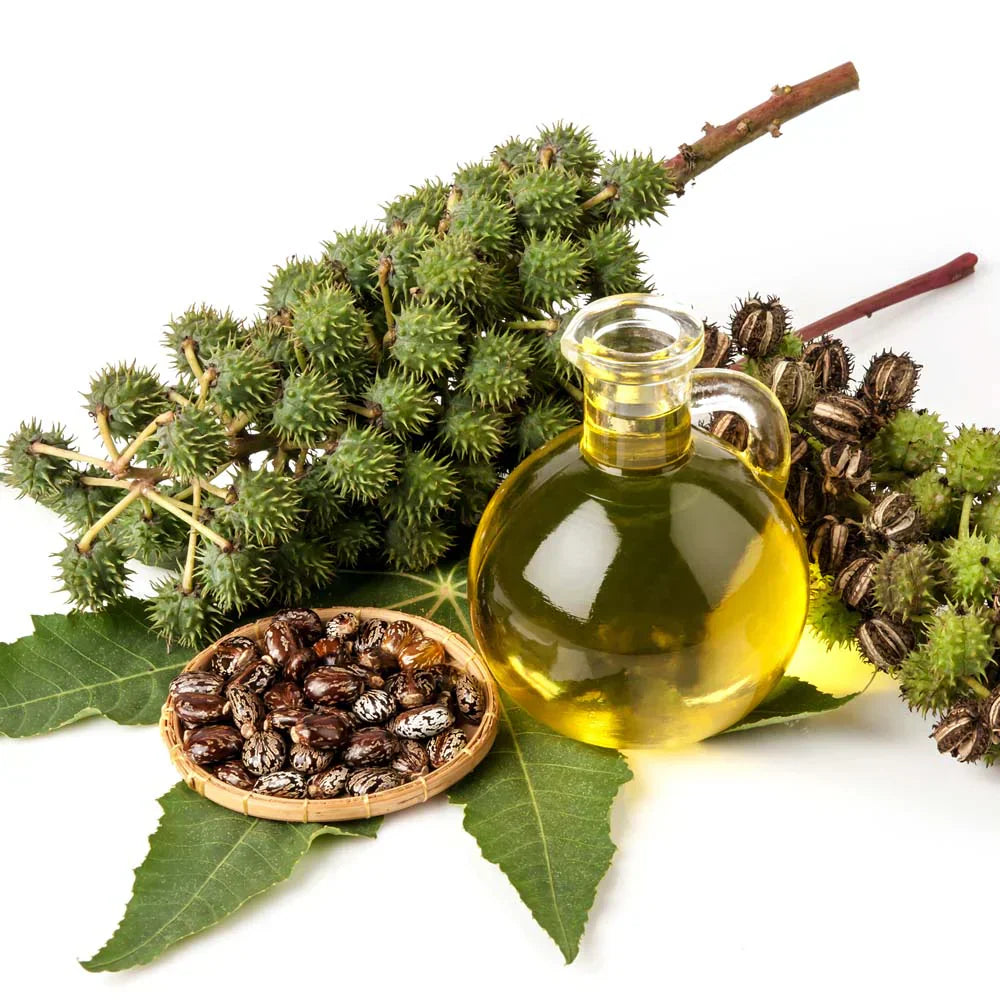 Rizinusöl – 100 % natürliches Rizinusöl für 30 ml