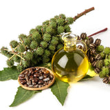 Rizinusöl – 100 % natürliches Rizinusöl für 30 ml