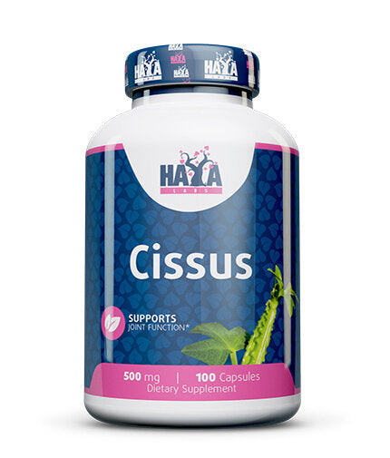 Cissus 500 mg/100 Kapseln