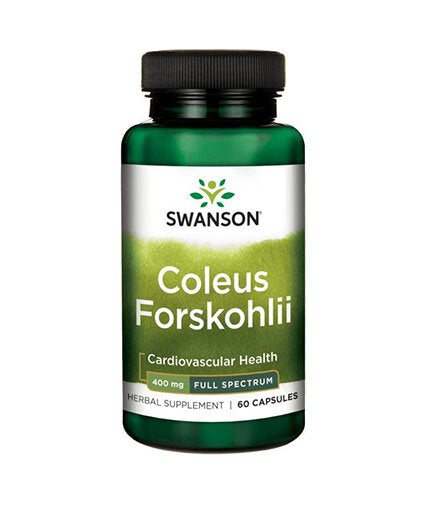Coleus Forskohlii/Forskolin 400 mg – 60 Kapseln