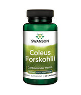Coleus Forskohlii/Forskolin 400 mg – 60 Kapseln