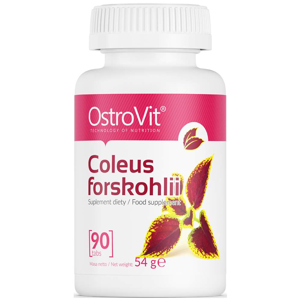 Coleus Forskohlii 90 Tabletten