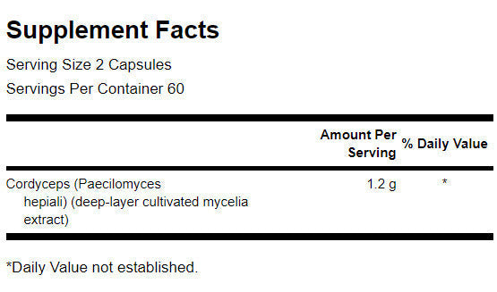 Cordyceps 600 mg – 120 Kapseln