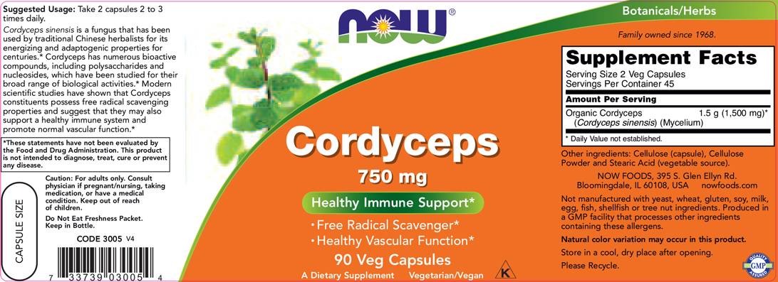 Cordyceps 750 mg – 90 Kapseln
