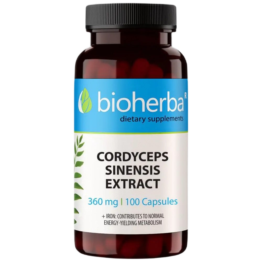 Cordyceps Sinensis 360 mg – 100 Kapseln