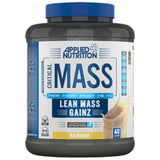 Critical Mass Professional – 2400 Gramm