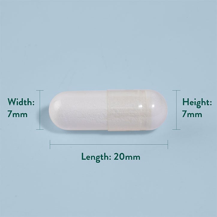 PE-Ernährung | L-Arginin 500 mg – 50 Kapseln
