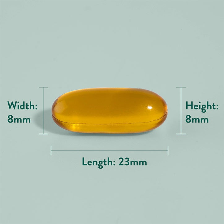Hochfestes kaltgepresstes | Leinsamenöl 2000 mg – 120 Kapseln
