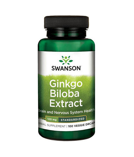 Standardisierter Ginkgo mit verzögerter Freisetzung 120 mg – 100 Kapseln