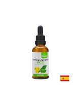 Löwenzahn – harntreibend und hepatoprotektiv – Diente de Leon Eco Plantis®, Tinktur ohne Alkohol, 50 ml