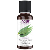 Eukalyptus-Radiata-Öl | 100 % reiner Eukalyptus Radiata – 30 ml