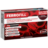 FERROFILL 30 mg | mit Iron Fiber Releaser® und liposomalem Eisen – 30 Tabletten