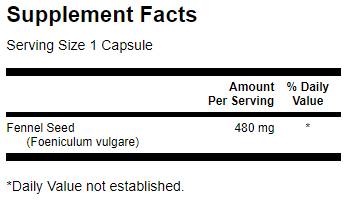 Fenchel 480 mg - 100 Kapseln