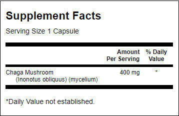 Vollspektrum-Chaga-Pilz 400 mg – 60 Kapseln