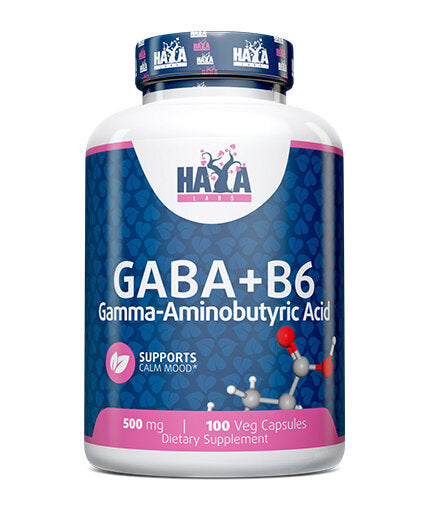 GABA + B-6/500 mg./100 Vcaps