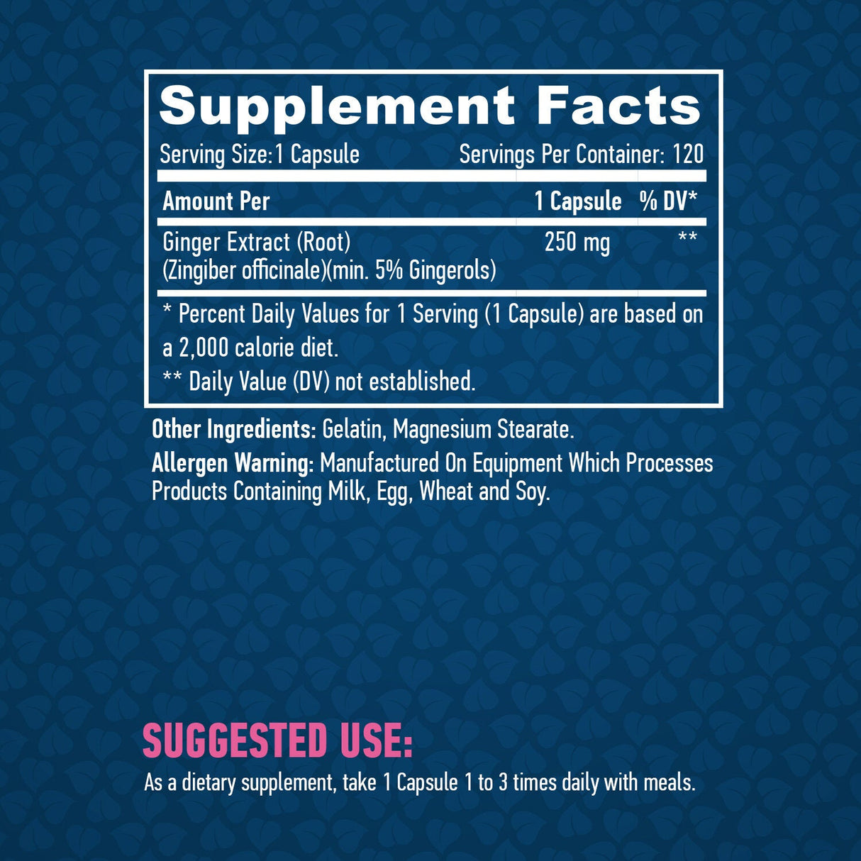 Ingwer 250 mg./120 Vcaps.