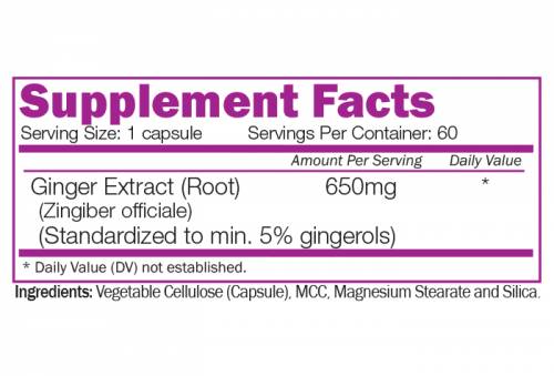 Ingwerwurzelextrakt 650 mg – 60 Kapseln