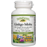 Ginkgo Biloba 60 mg – 120 Kapseln