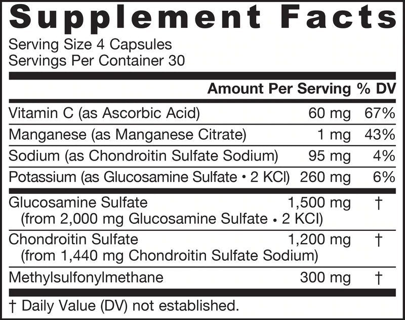 Glucosamin Chondroitin MSM - Glucosamin Chondroitin MSM 120 Kapseln