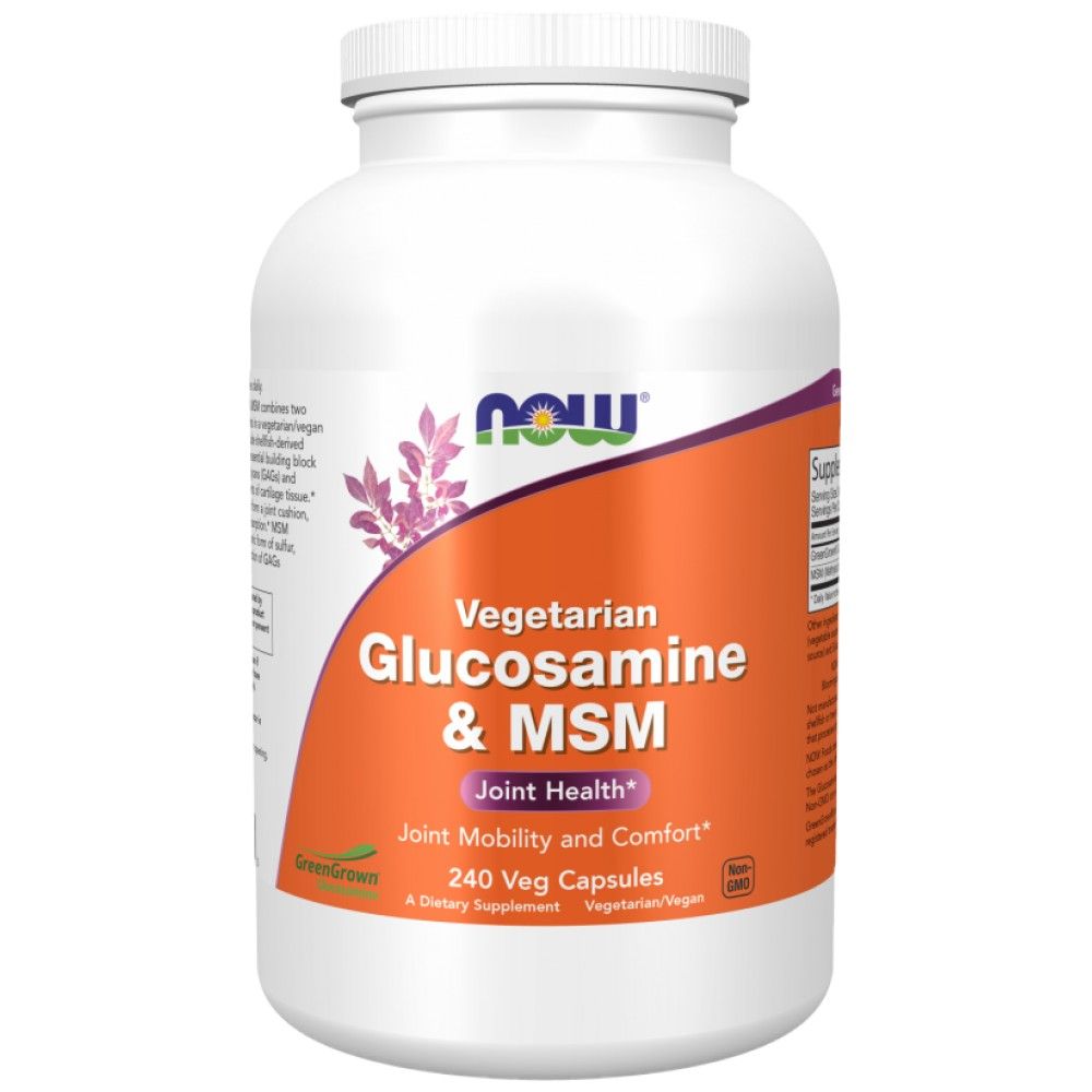 Glucosamin und MSM – 240 Kapseln