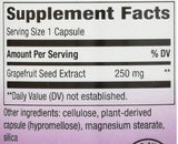 Grapefruitkerne 250 mg – 60 Kapseln