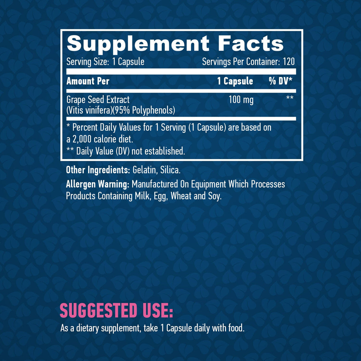 Traubenkernextrakt 100 mg./120 Kapseln.